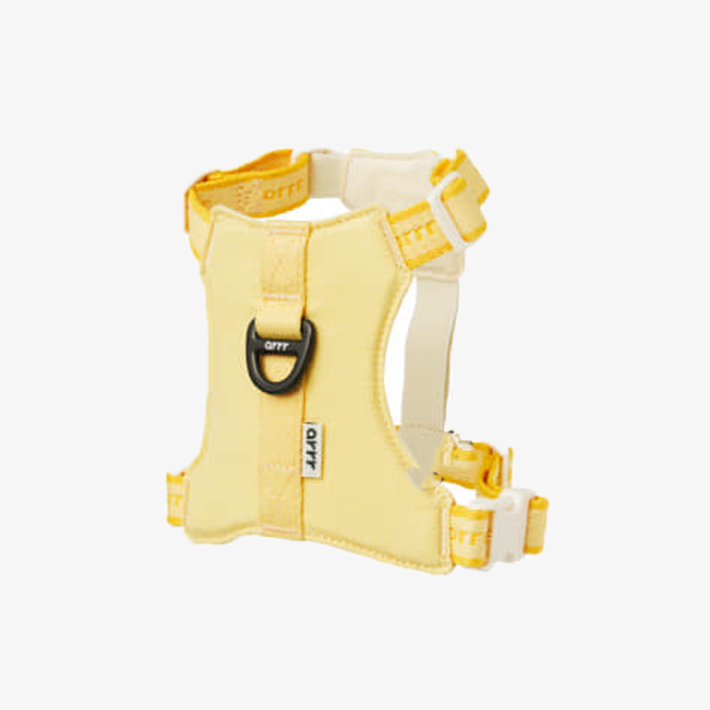 Bouncing Harness | 蹦跳胸背帶