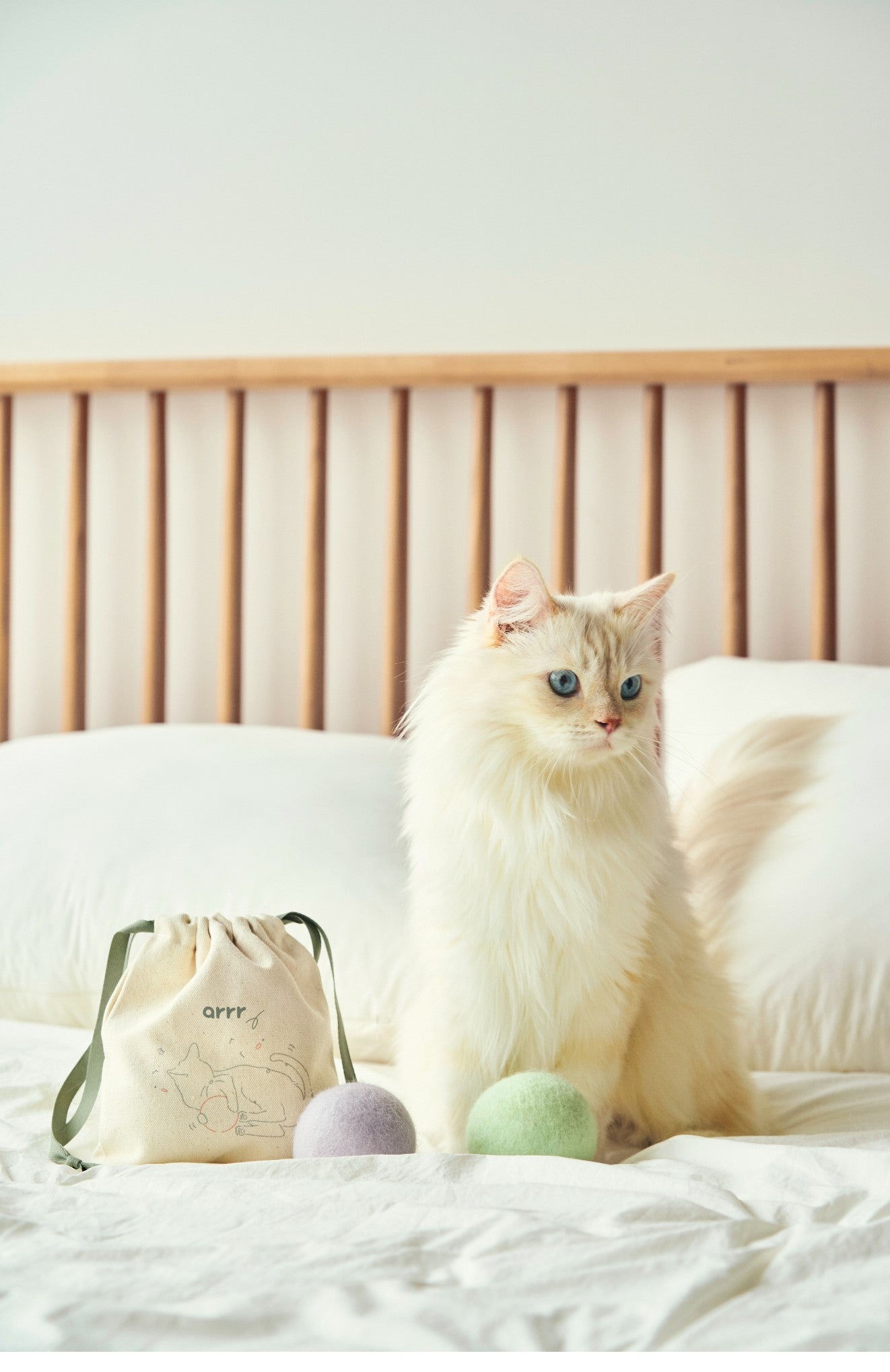 Macaron Cat Toy Ball | 馬卡龍寶貝球