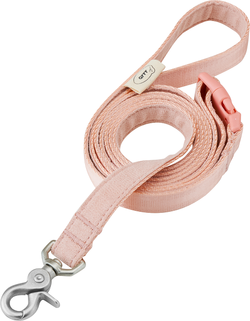 Myfit Leash | 緩緩安全牽繩