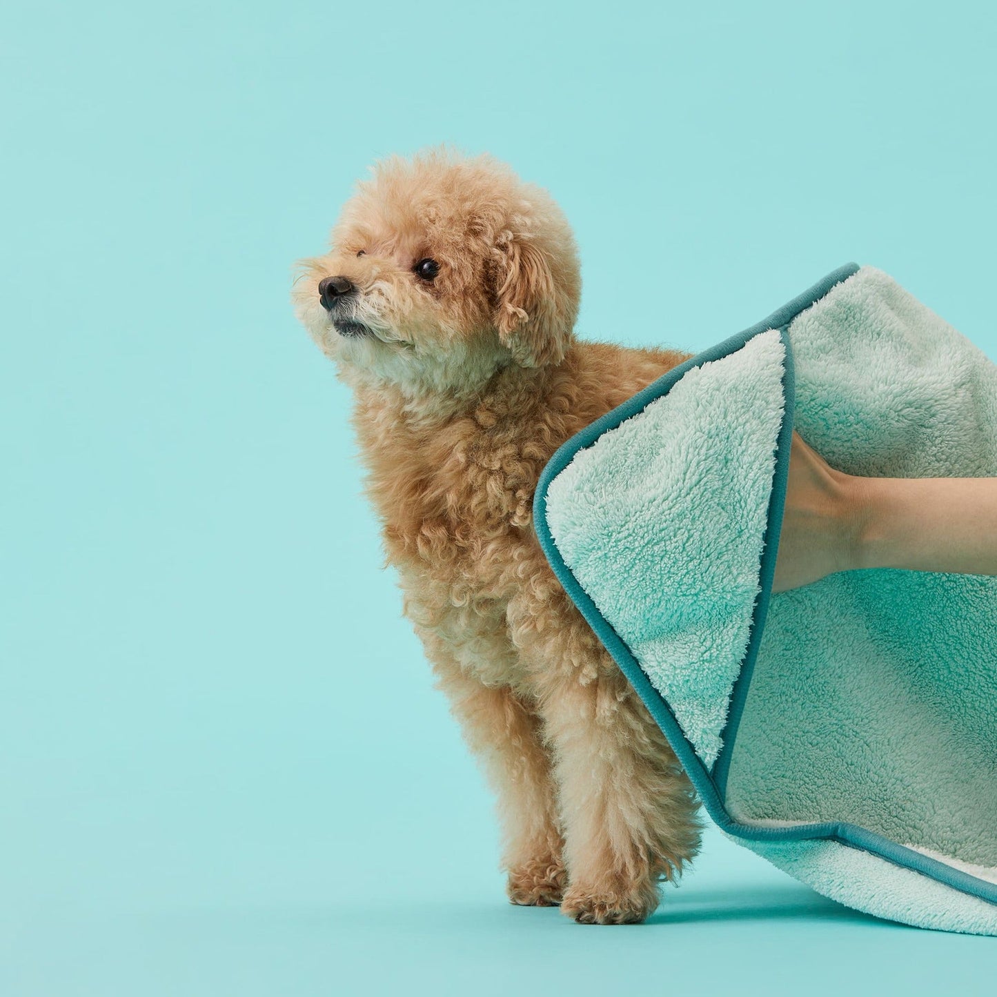 Fluffy Pet Towel | 寵物軟綿綿毛巾